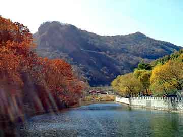 澳门二四六天天彩图库，樱花树价格